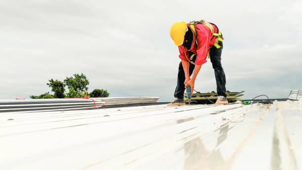 Best Storm Damage Roof Repair  in Clayco, MO