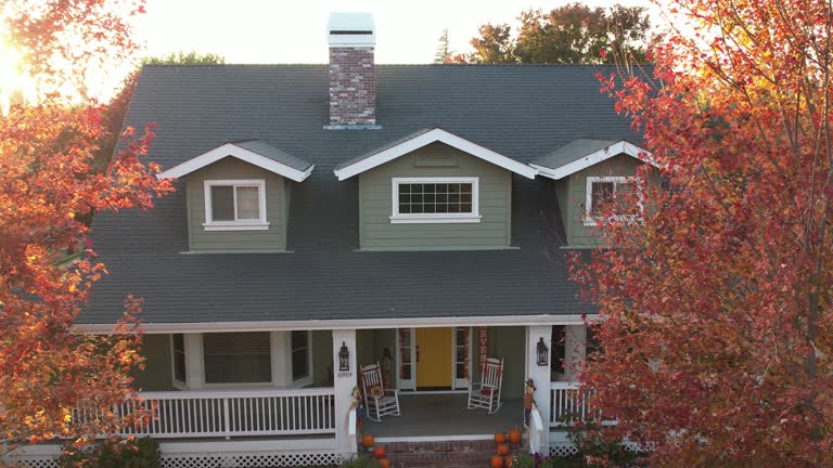 Best Sheet Metal Roofing  in Clayco, MO